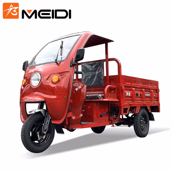 전기 세발자전거 4